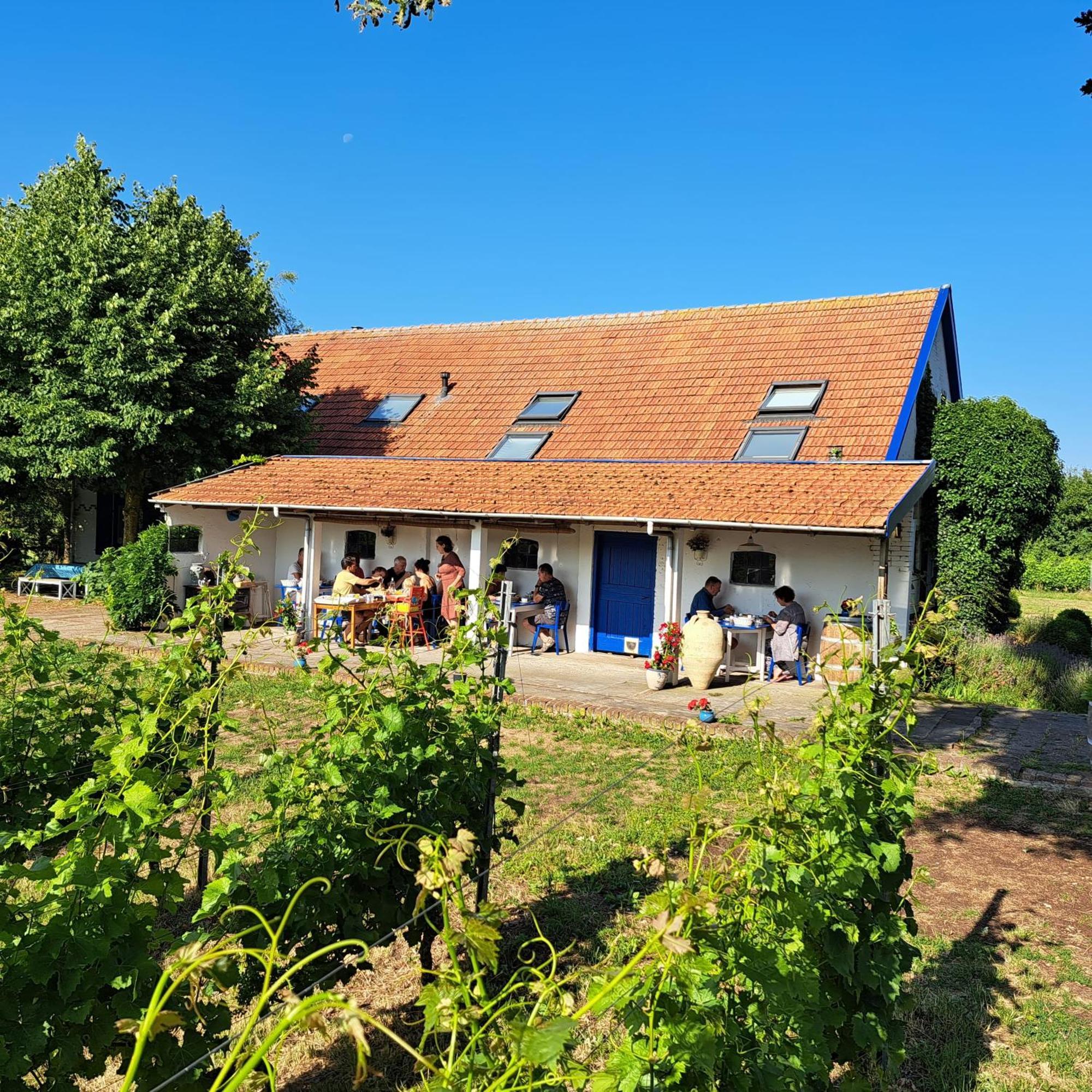 Bed and Breakfast Wijnstaete à Lemelerveld Extérieur photo