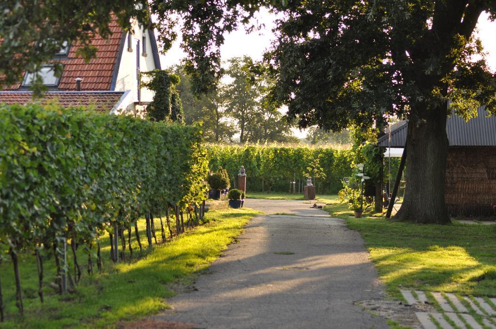 Bed and Breakfast Wijnstaete à Lemelerveld Extérieur photo
